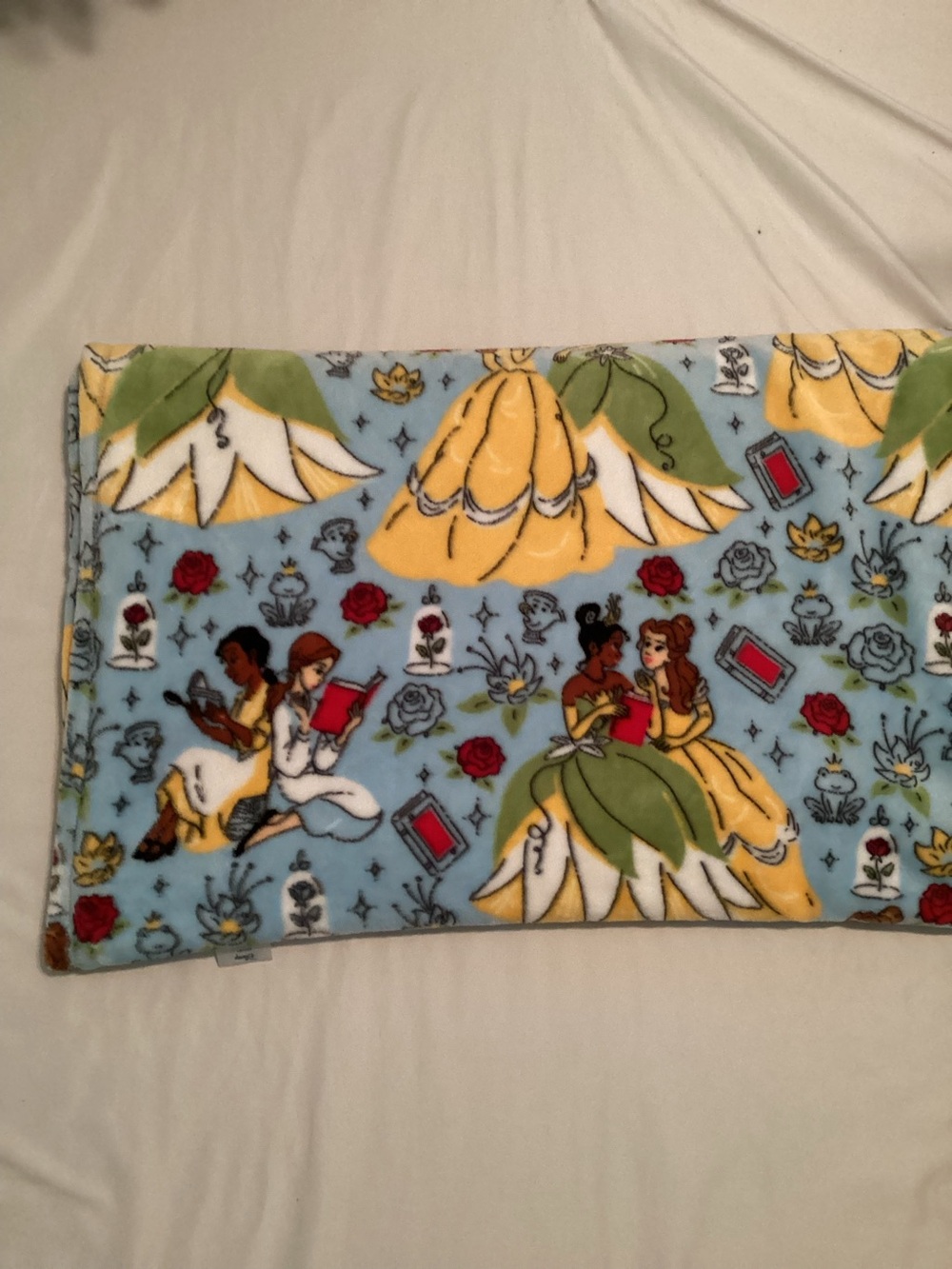 Disney The Big One Princecess Belle & Tiana 100% Polyester Blanket Throw